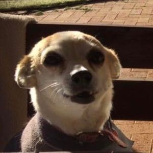 Meet your Posher, Danika